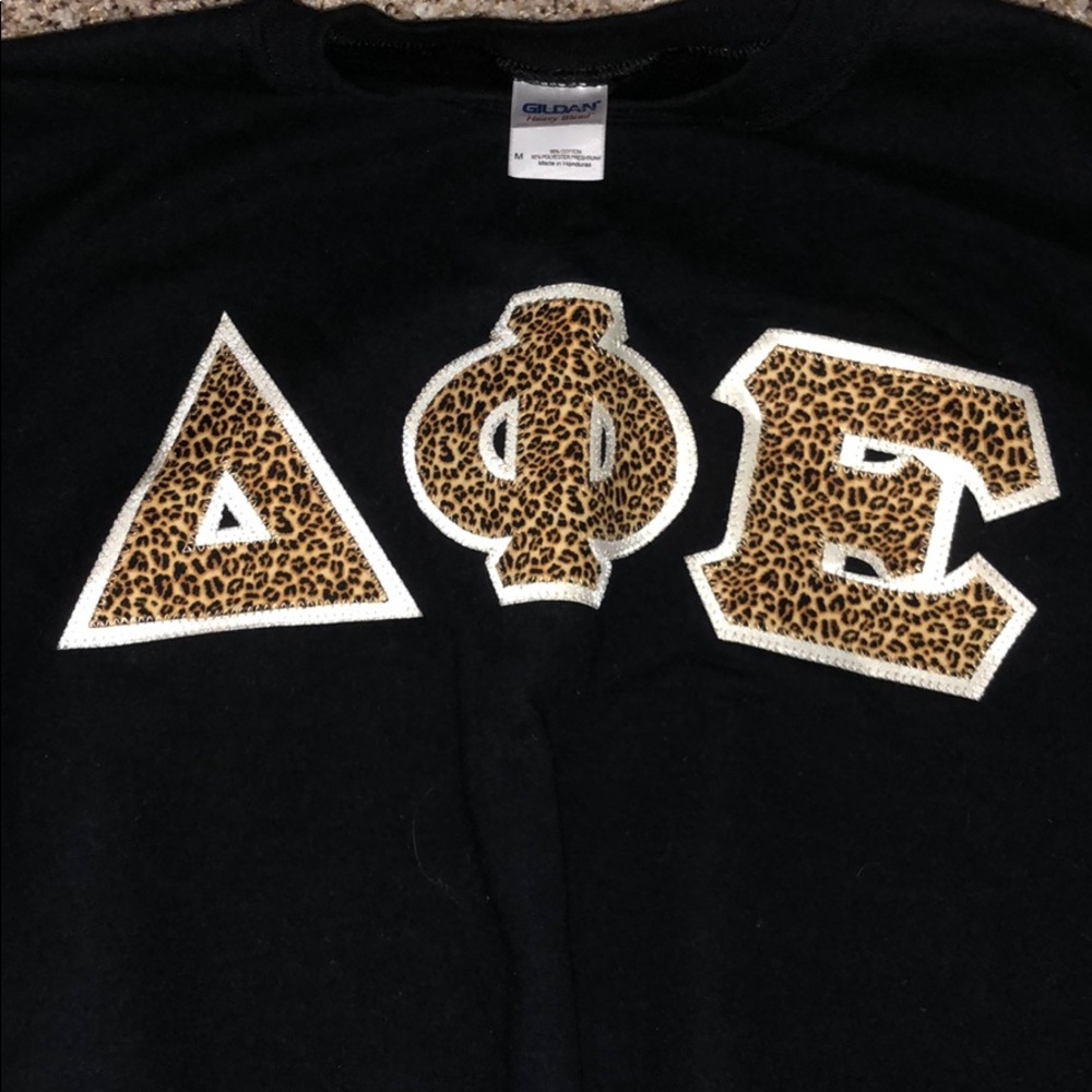 Crew neck Delta Phi Epsilon sweatshirt